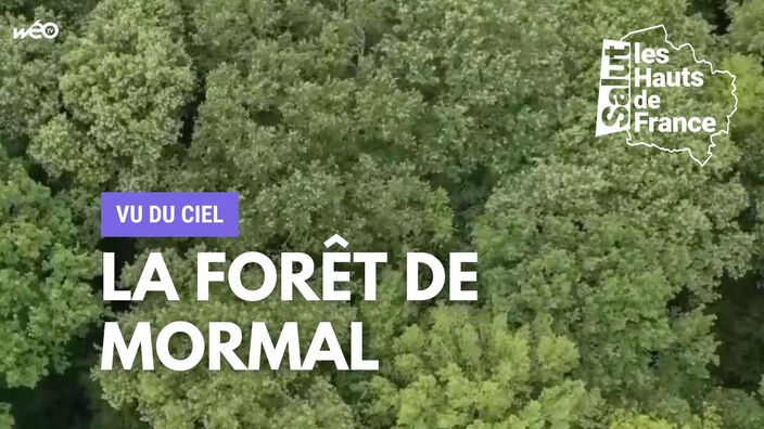 Vu du ciel : la forêt de Mormal