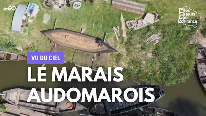 Vu du ciel : le marais audomarois