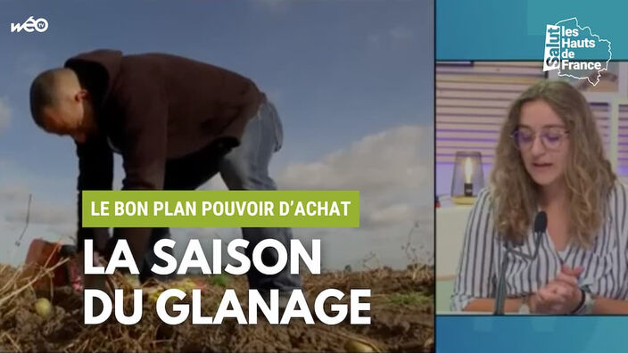 Le glanage : une tradition économique