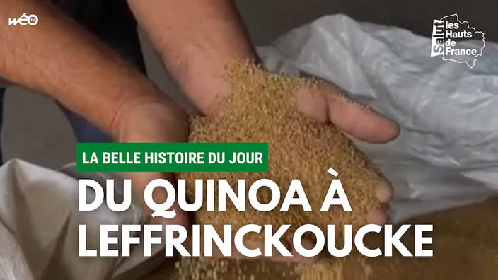 Leffrinckoucke, le quinoa dans tous ses états