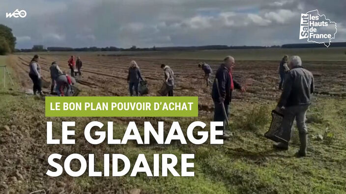 Le glanage fait de nombreux adeptes