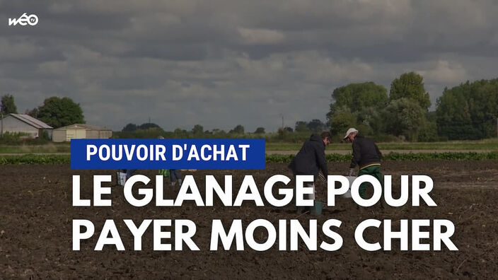 Pouvoir d’achat : la tradition du glanage