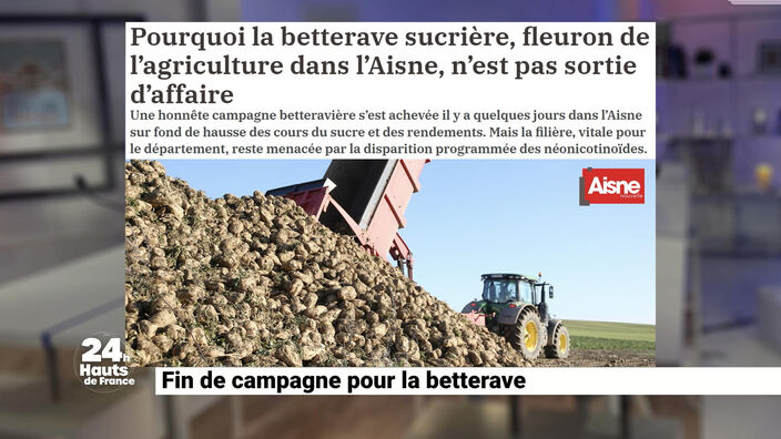 Fin de campagne pour la betterave