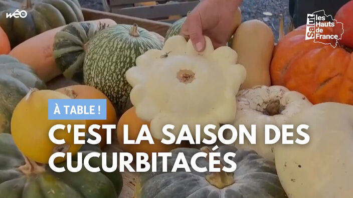 A table : c’est la saison des cucurbitacés