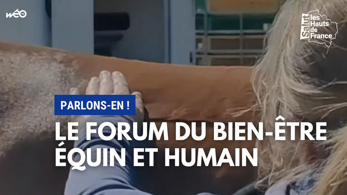 Le forum du bien-être équin et humain, parlons-en !