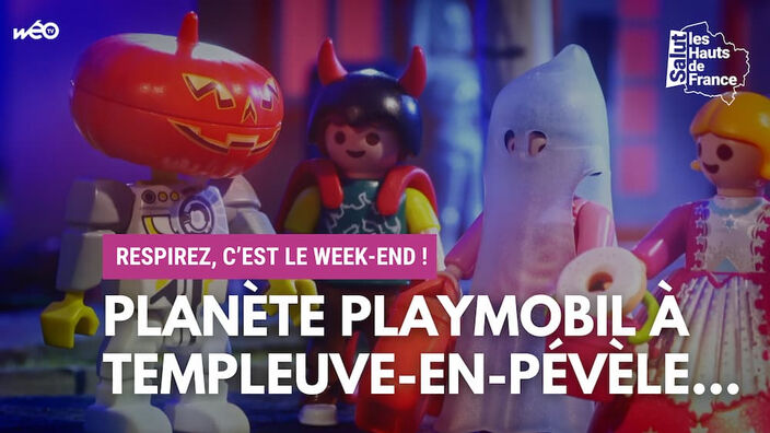 Que faire en ce week-end de la Toussaint ?