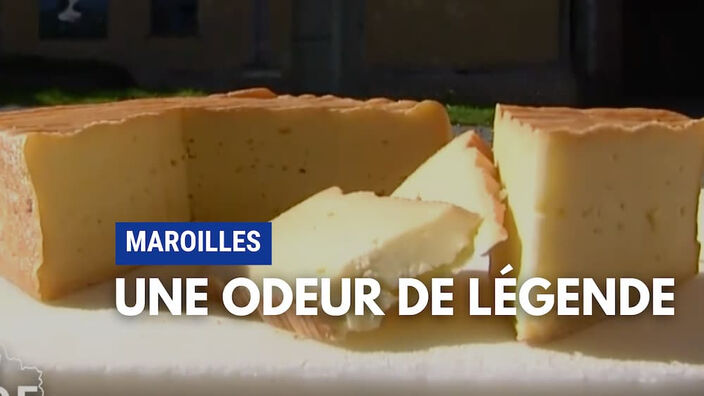 Le Maroilles, fierté du Nord !