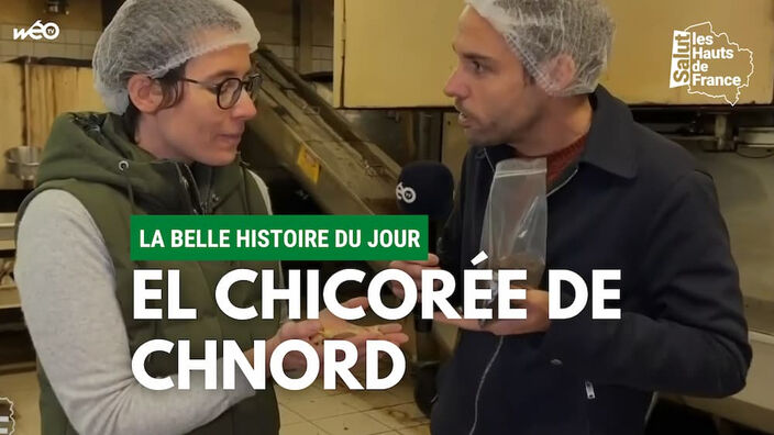 La belle histoire du jour : la chicorée, fierté du Nord