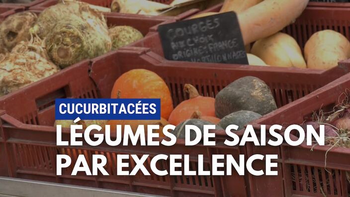 Produits de saison : À vos courges !