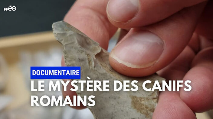 Le mystère des canifs romains