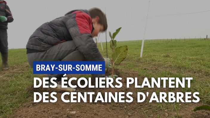 Bray-sur-Somme : Des écoliers au chevet des terres agricoles