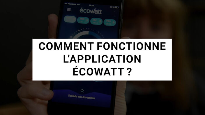 Ecowatt : les conseils d'un responsable de RTE sur l'application