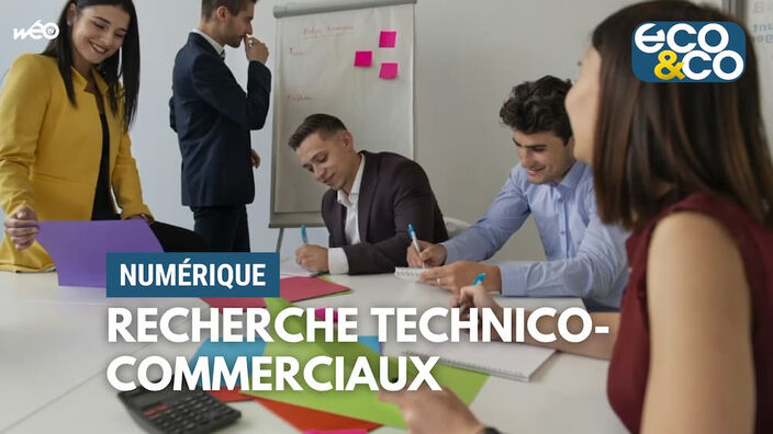 Le numérique cherche des technico-commerciaux