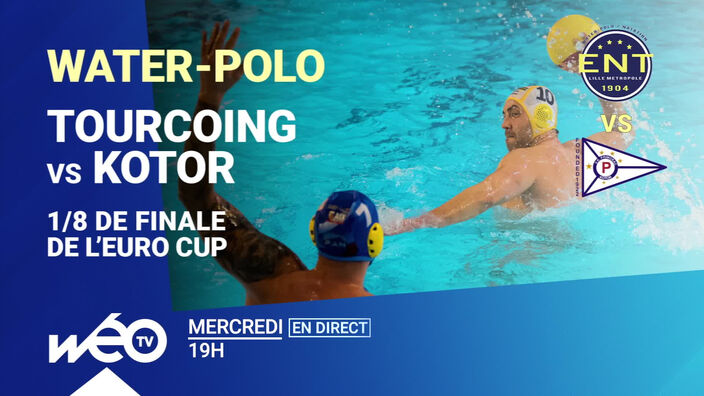 Water-polo : Tourcoing Vs Kotor en Coupe d'Europe en direct sur Wéo
