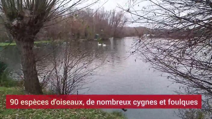 Protection des oiseaux à Cléry-sur-Somme et Etinehem-Méricourt