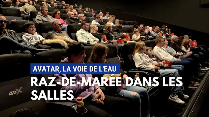 Cinéma : le raz-de-marée pour Avatar !