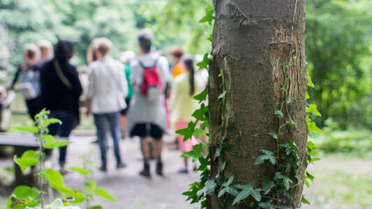 Entre nature et patrimoine • balade