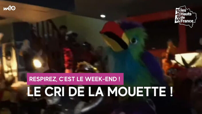 Dunkerque : le championnat du monde du cri de la mouette !