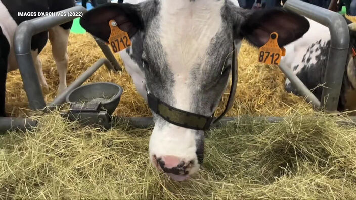 Salon de l'Agriculture: des productions made in Hauts-de-France variées