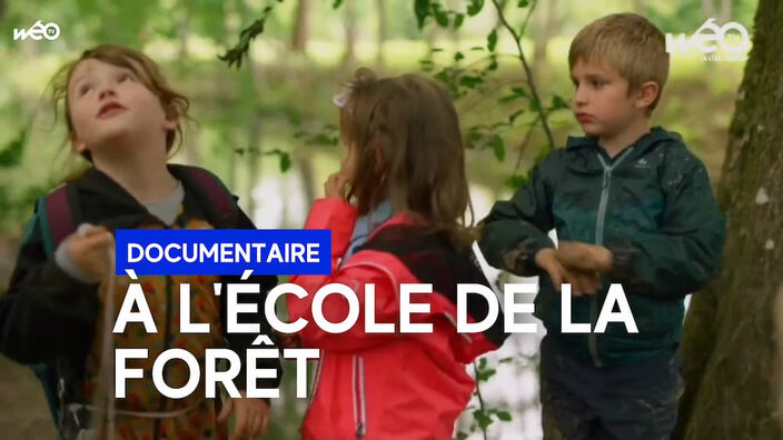 À l'école de la forêt