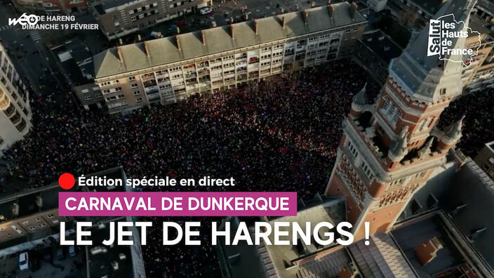 Jet de harengs : record absolu de fréquentation !