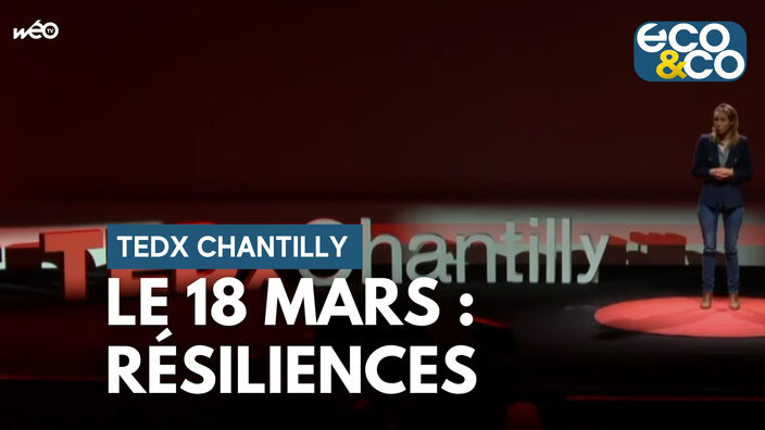 TEDx CHANTILLY, le 18 mars : résiliences