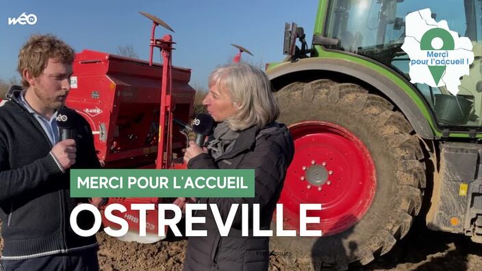 Ostreville (62) - Graines en Nord, une marque du Ternois !