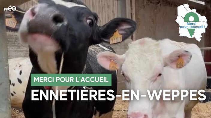 Ennetières-en-Weppes (59) - Lait, mozzarella et polyculture