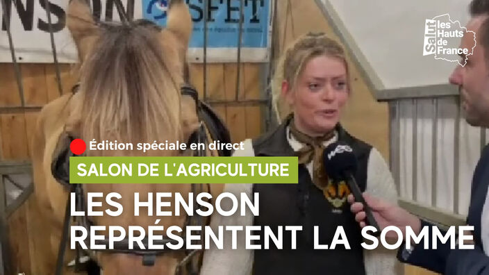 Les chevaux Henson au Salon de l'agriculture