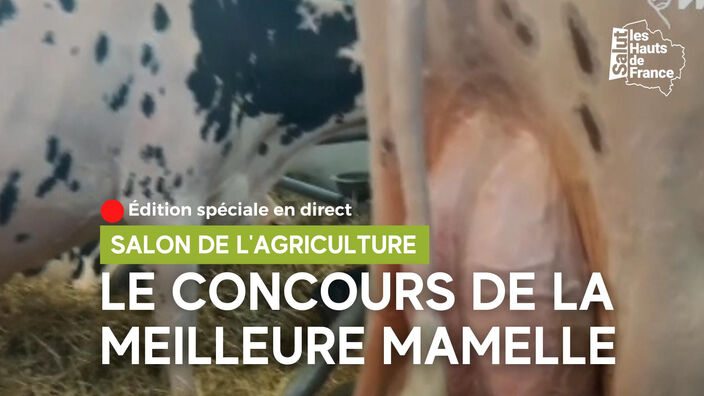 Cette vache a reçu le prix de la plus belle mamelle nationale