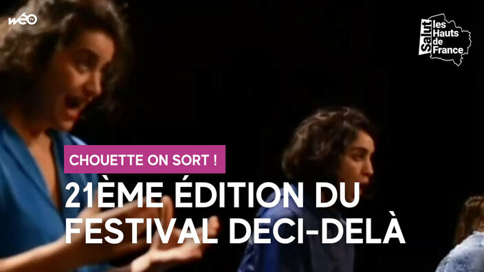 Les belles affiches du festival Deci-Delà