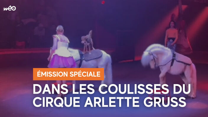 Emission spéciale : Dans les coulisses du cirque Arlette Gruss
