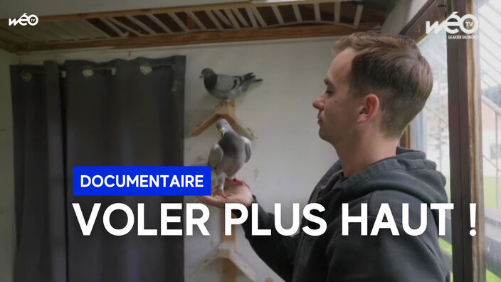 Voler plus haut ! 