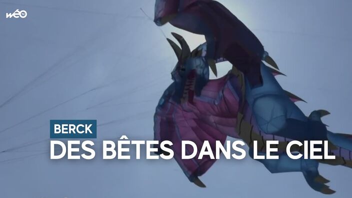 Cerfs-volants de Berck : du vent dans les voilures !