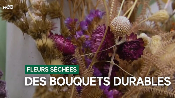 Armentières : piqués de fleurs séchées