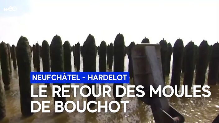 La moule nouvelle est arrivée