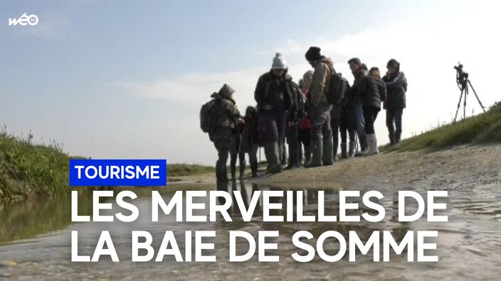 Festival de l'Oiseau : La Baie de Somme, estuaire aux mille facettes