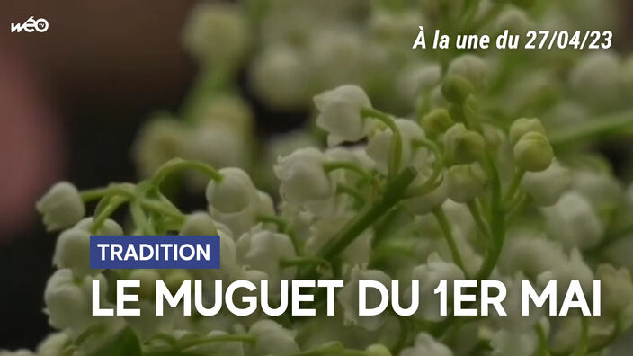 L'info des Hauts-de-France du jeudi 27 avril 2023