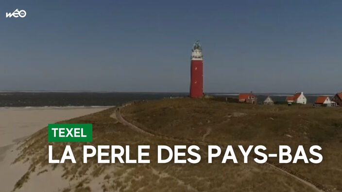 Texel : ile nature des Pays-Bas