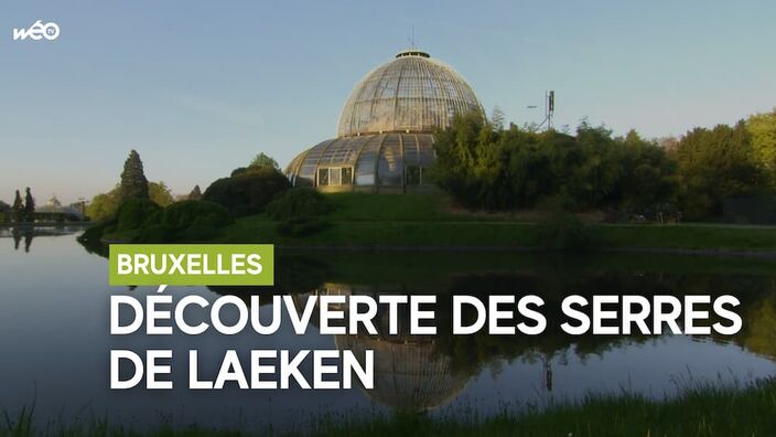 Serres de Laeken : un jardin extraordinaire