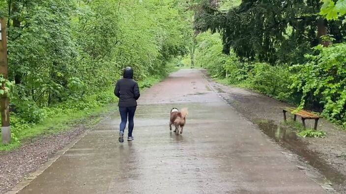 Empoisonnement de chiens à la Citadelle de Lille 