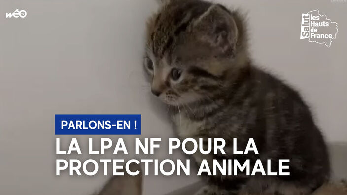 La LPA NF : pour la protection animale