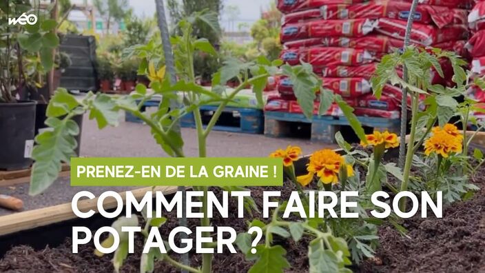 Prenez-en de la graine : réussir son potager ! 