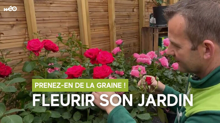 Prenez-en de la graine : réussir le fleurissement de son jardin !