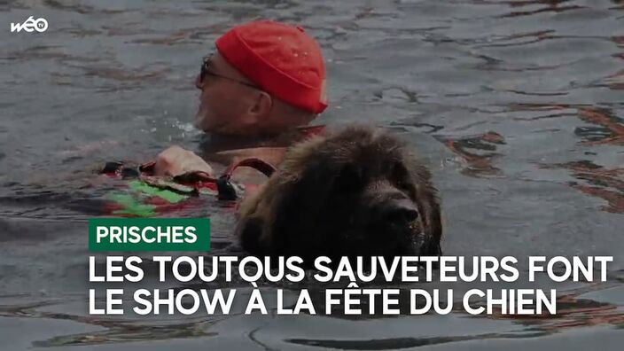 Les chiens sauveteurs à Prisches