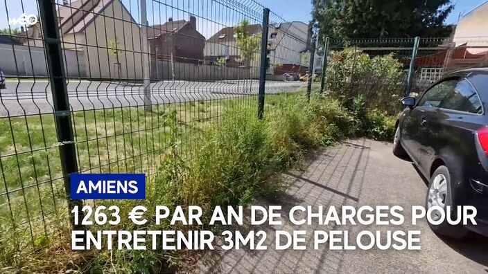 Des locataires contraints de payer 1263 euros par an de charges pour entretenir moins de 3m2 de pelouse