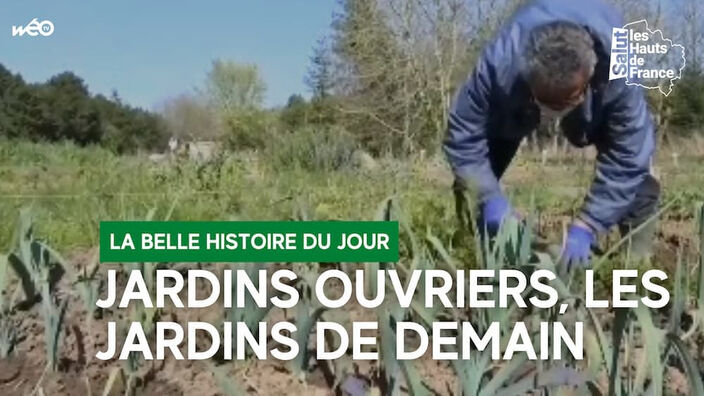 Jardins ouvriers : de la nécessité au plaisir