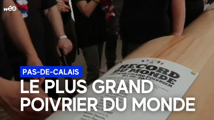 Mettre du poivre dans sa vie