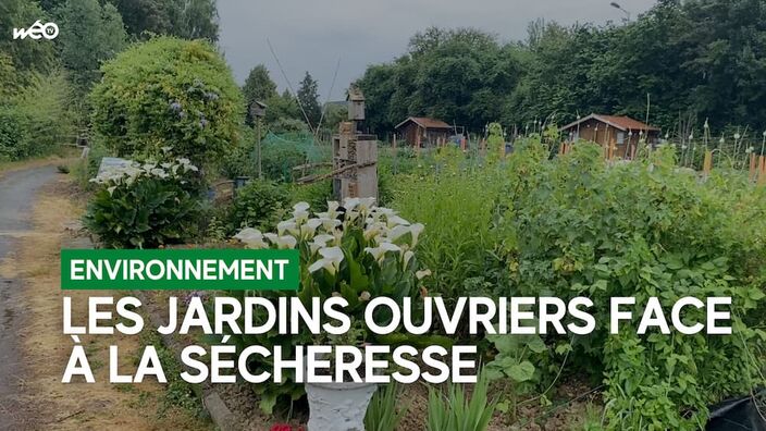 Les jardins ouvriers face au changement climatique