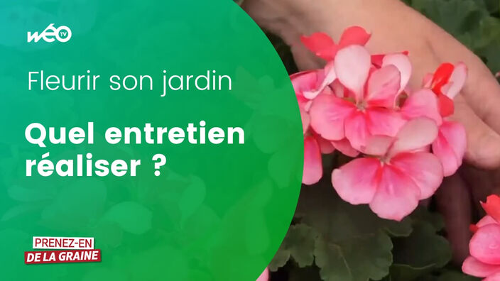 Comment entretenir son jardin